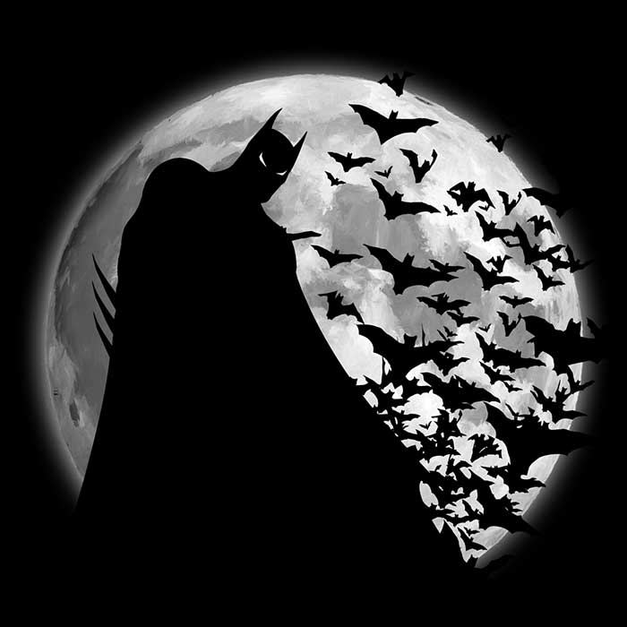 Bats Under the Moon - Accessory Pouch