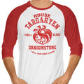 Fire and Blood - 3/4 Sleeve Raglan T-Shirt product image 1