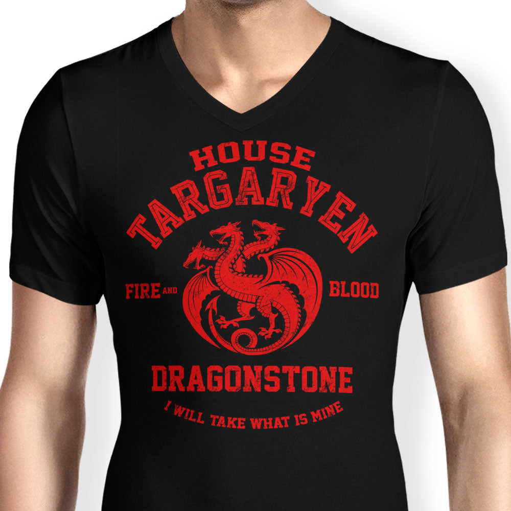 Fire and Blood - Men's V-Neck product image 4