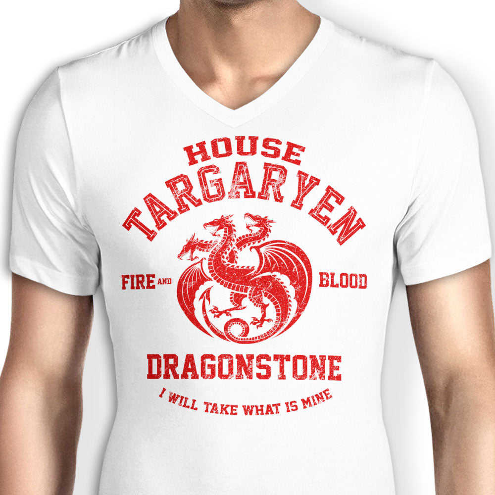 Fire and Blood - Men's V-Neck product image 5