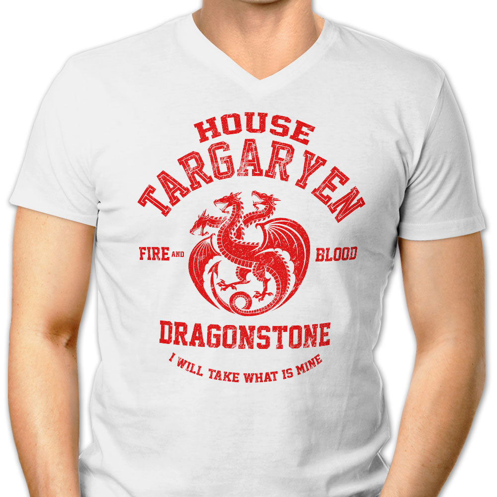 Fire and Blood - Men's V-Neck product image 3
