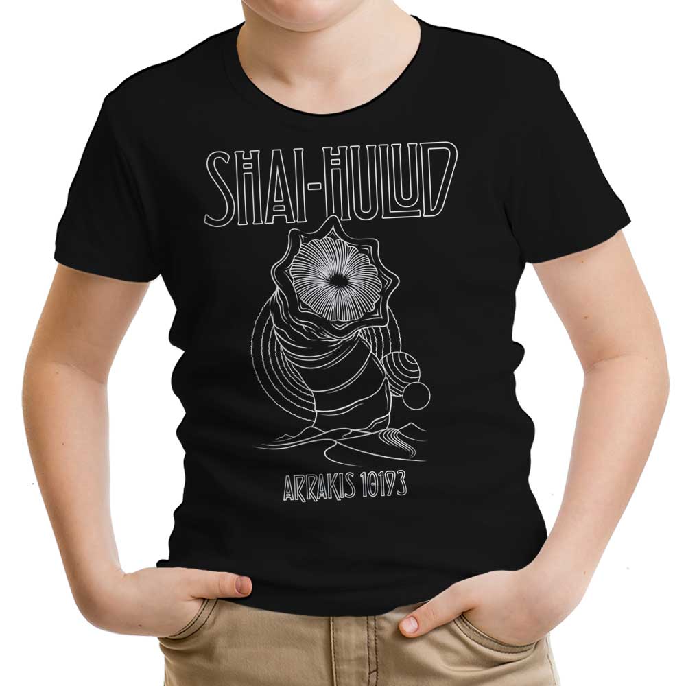 Kashmir - Youth Apparel product image 1