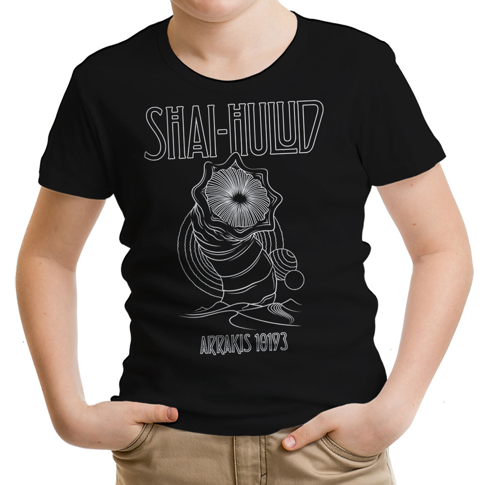 Kashmir - Youth Apparel product image 15
