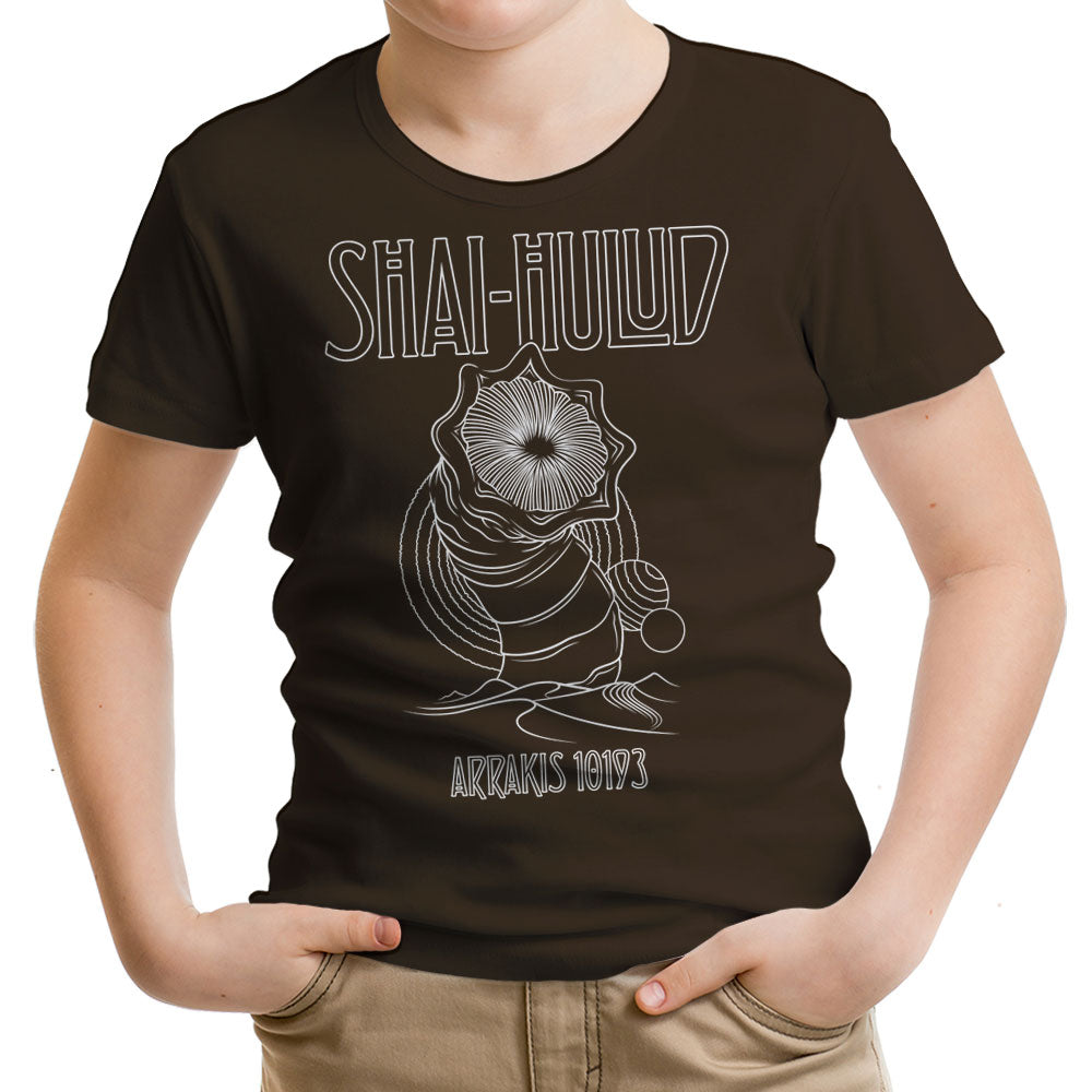 Kashmir - Youth Apparel product image 16