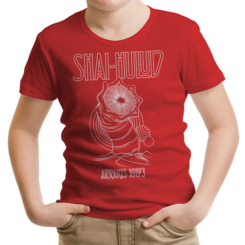 Kashmir - Youth Apparel product image 24