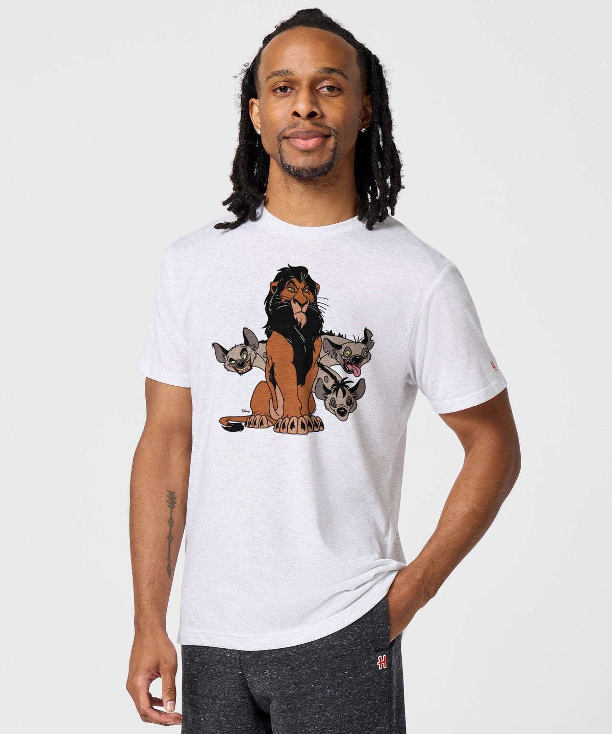 Lion King Scar product image 3