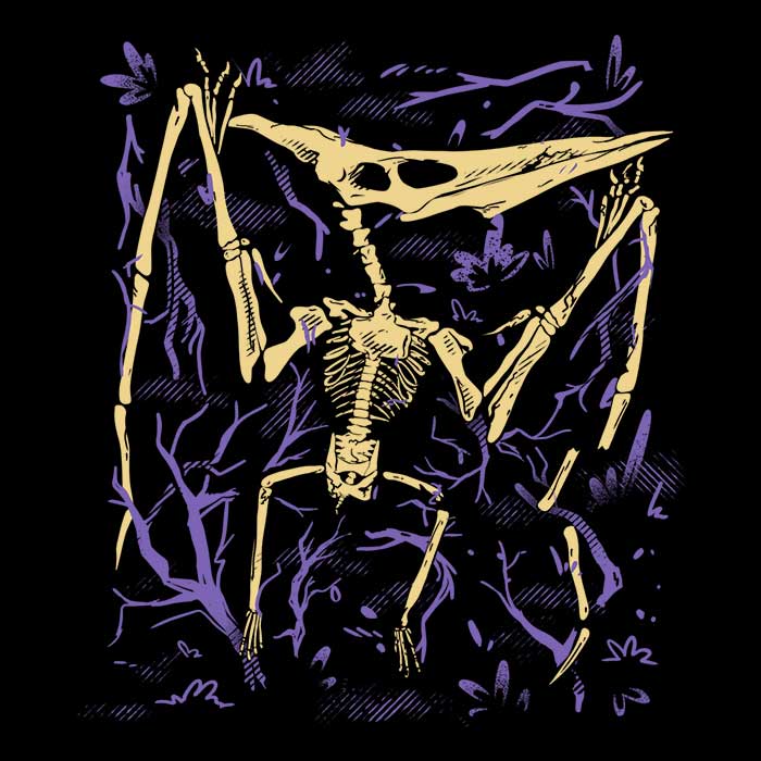 Pteranodon Fossils - Tank Top product image 2