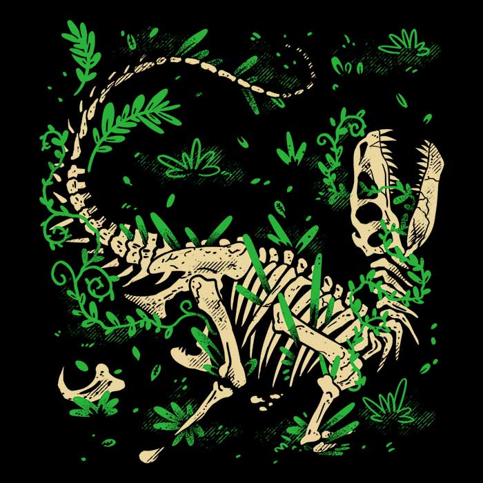 Raptor Fossils - Women's V-Neck product image 2
